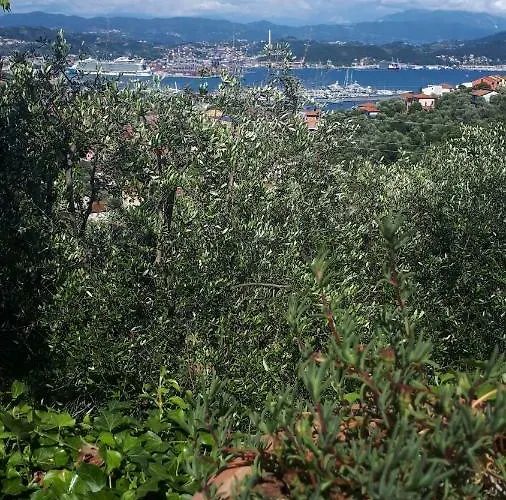 Federici La Spezia